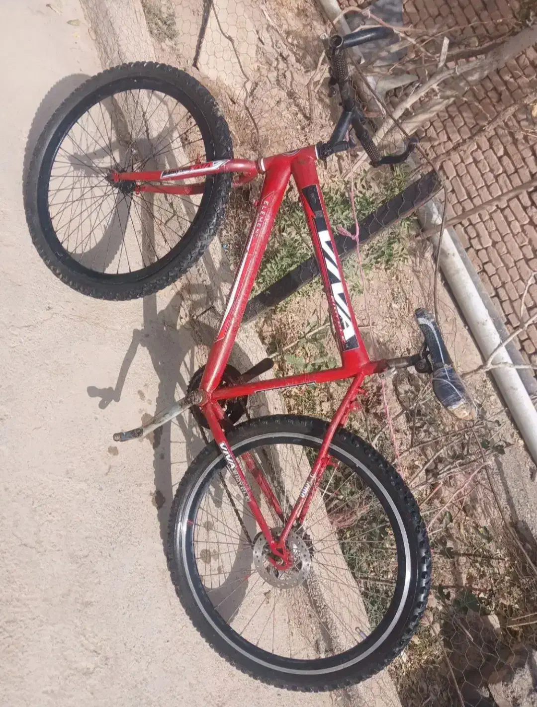 دوچرخه ۲۶|دوچرخه، اسکیت، اسکوتر|تربت جام, میان جام|دیوار