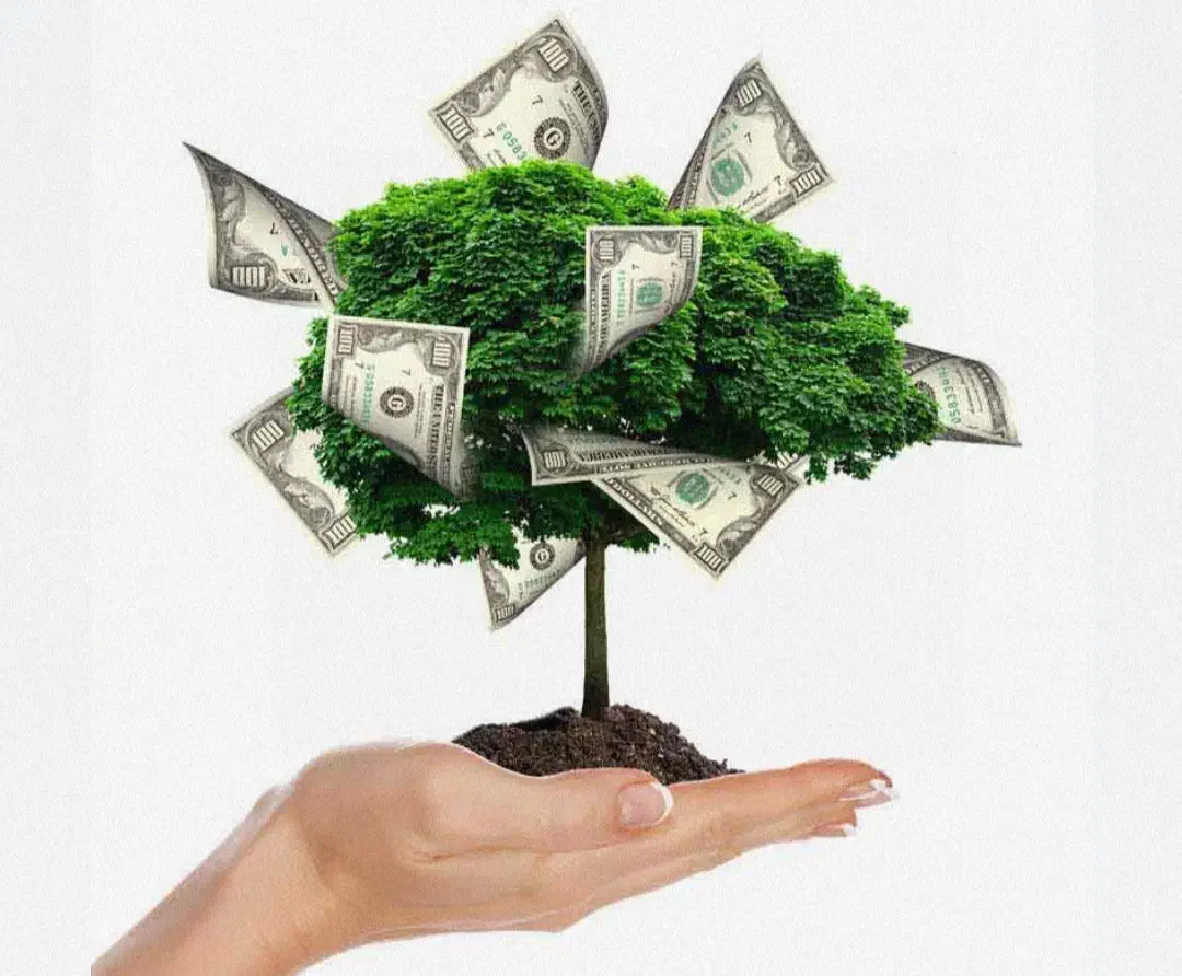 سرمایه گذاری با سود بالا کاملا شرعی و مطمئن|استخدام مالی، حسابداری، حقوقی|قم, زنبیل آباد|دیوار