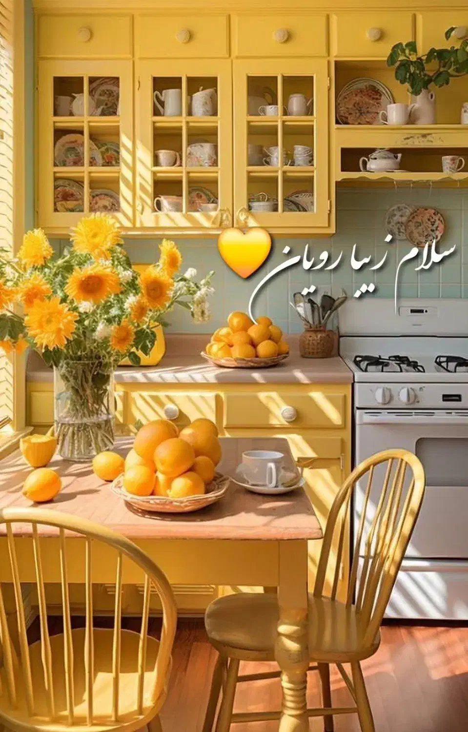 راهنمایی روغن گیاهی ویژه بانوان|فعالیت داوطلبانه|آستارا, |دیوار