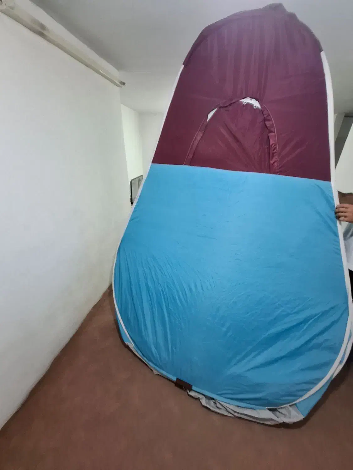 چادر مسافرتی ۸نفره|کوهنوردی و کمپینگ|هشتگرد, هشتگرد قدیم|دیوار