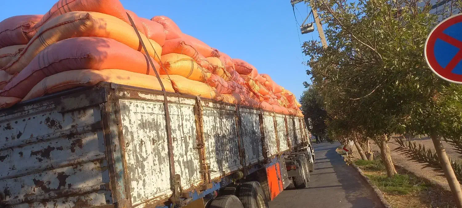 کاه|عمده‌فروشی|یزد, |دیوار