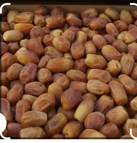 قصب|خوردنی و آشامیدنی|خورموج, |دیوار