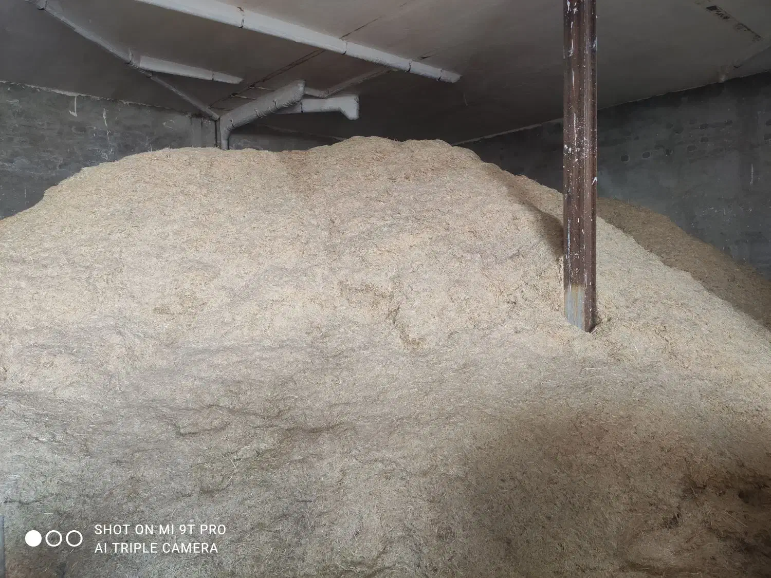 کاه گندم دیم کیلوی 12هزار.|حیوانات مزرعه|خزل, |دیوار