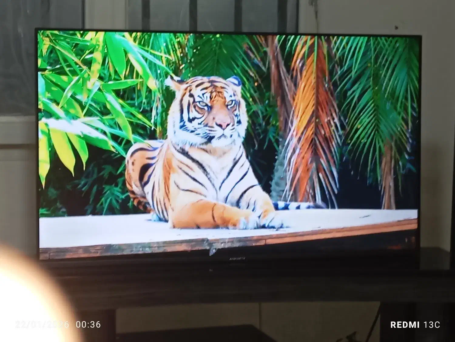 تلوزیون ۵۰اینج اسمارت|تلویزیون و پروژکتور|کرج, شهرک ولیعصر|دیوار