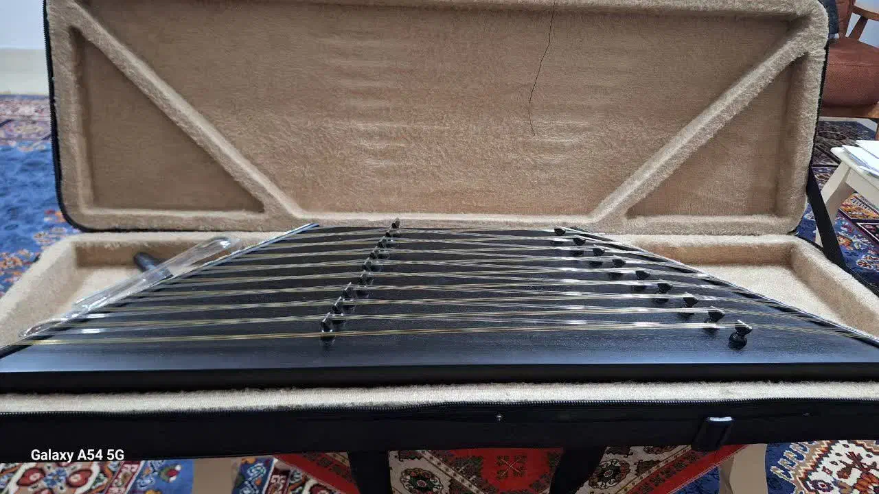 سنتور صادقی، بلندگو وانتی|سازهای سنتی|گنبد کاووس, |دیوار