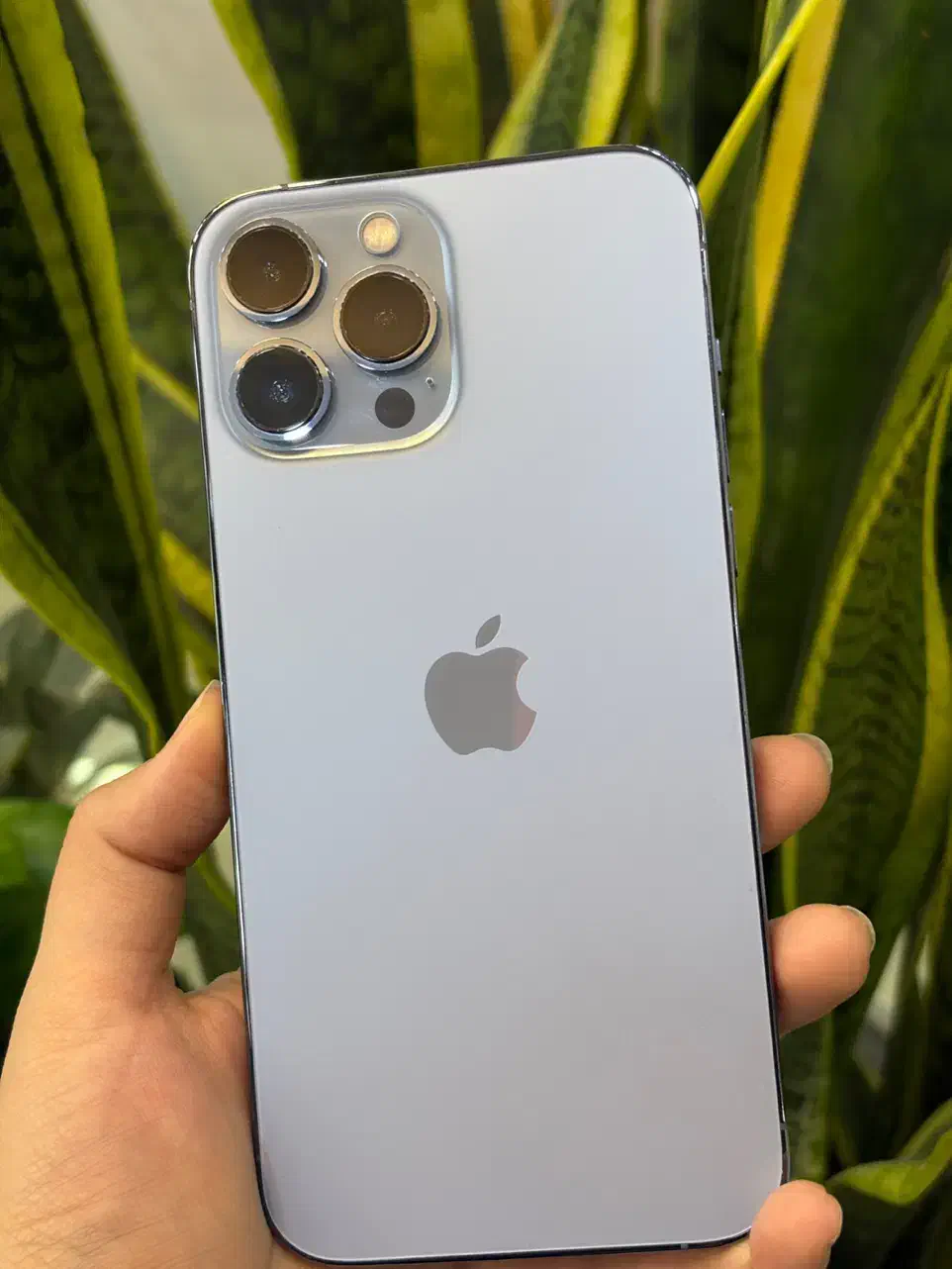 ایفون ۱۳ پرومکس رنگ آبی دلفینی بدون پیش پرداخت|موبایل|اصفهان, احمدآباد|دیوار