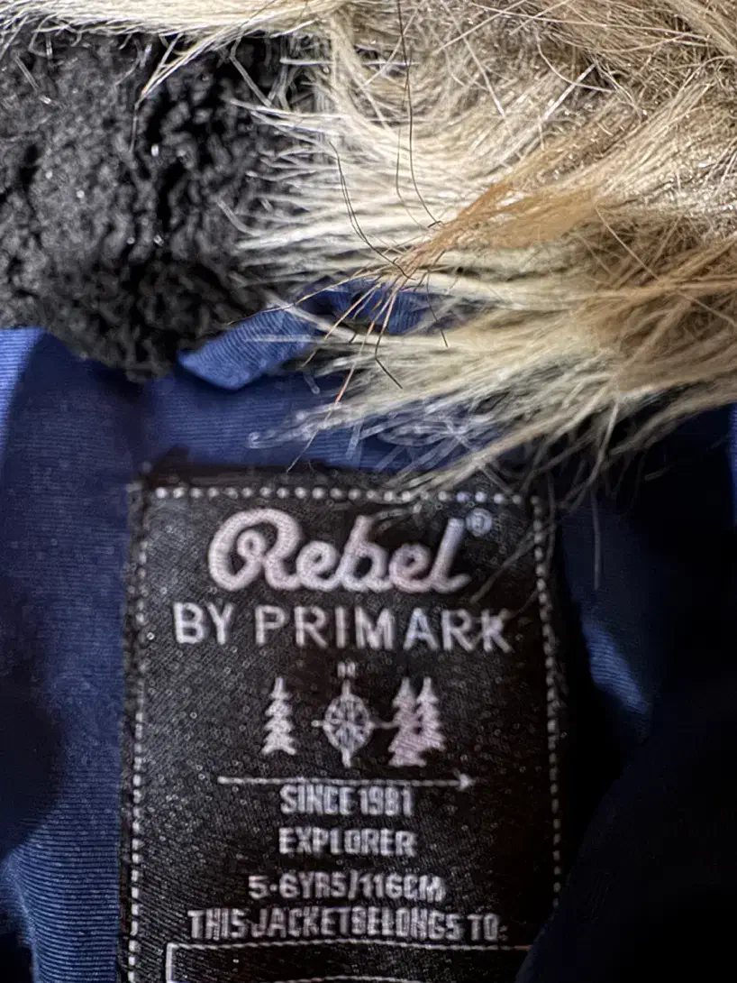 کاپشن بچه گانه|کفش و لباس بچه|تهران, پاسداران|دیوار