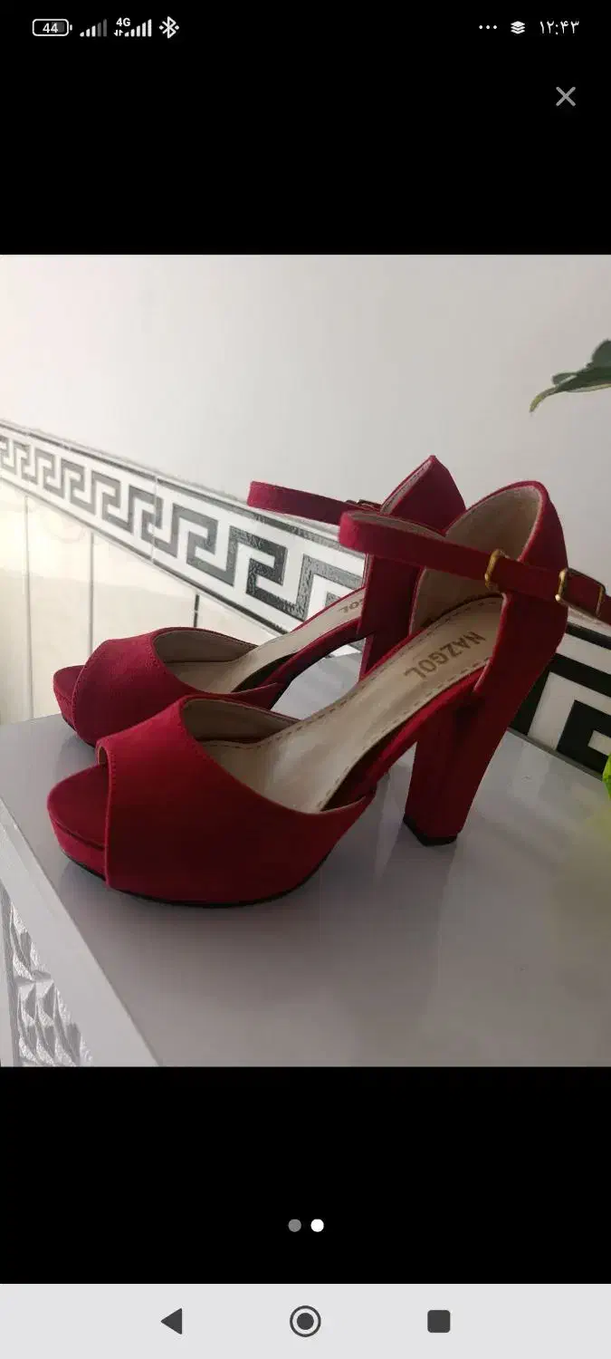 کفش مجلسی|کیف، کفش، کمربند|شاهرود, |دیوار