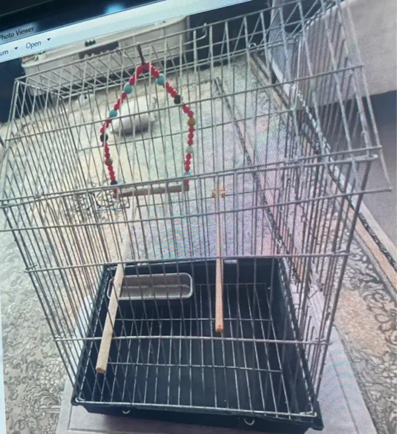 قفس بزرگ|لوازم جانبی حیوانات|مشهد, محمدآباد|دیوار