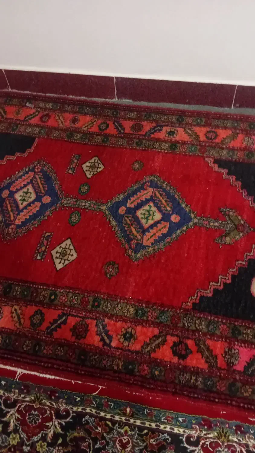 فرش دست باف قدیمی|کلکسیون اشیاء عتیقه|هشترود, |دیوار