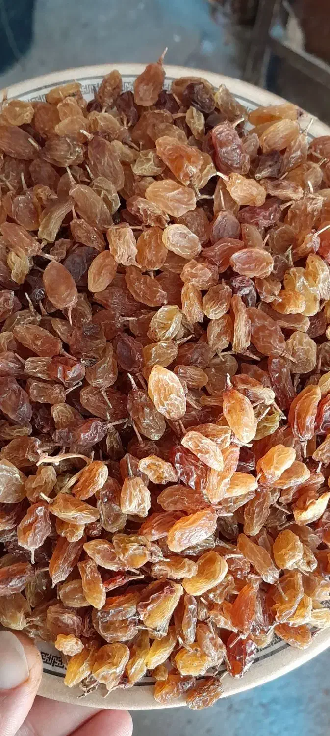 کشمش|خوردنی و آشامیدنی|یاسوج, |دیوار