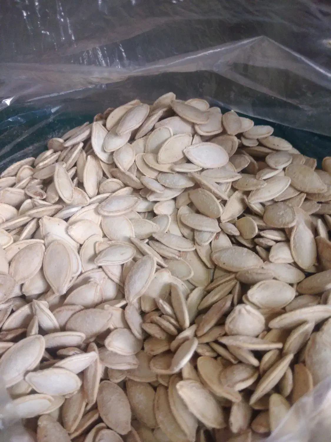 تخمه کدو|خوردنی و آشامیدنی|اصفهان, دهنو|دیوار