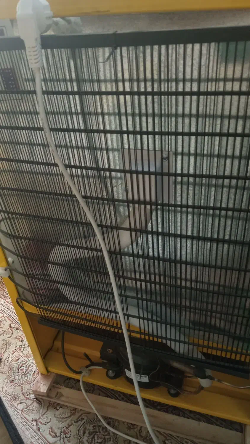 یخچال|یخچال و فریزر|تبریز, |دیوار