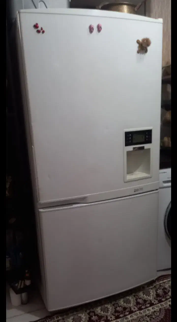 یخچال اسنوا|یخچال و فریزر|تهران, گلچین|دیوار