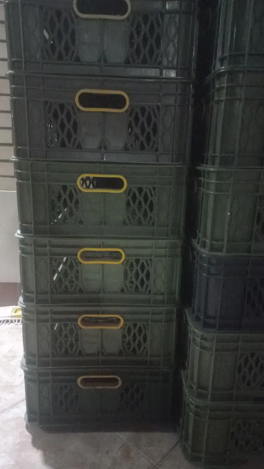 فروش فوری سبد لبنیاتی در حد نو|فروشگاه و مغازه|لنجان, |دیوار