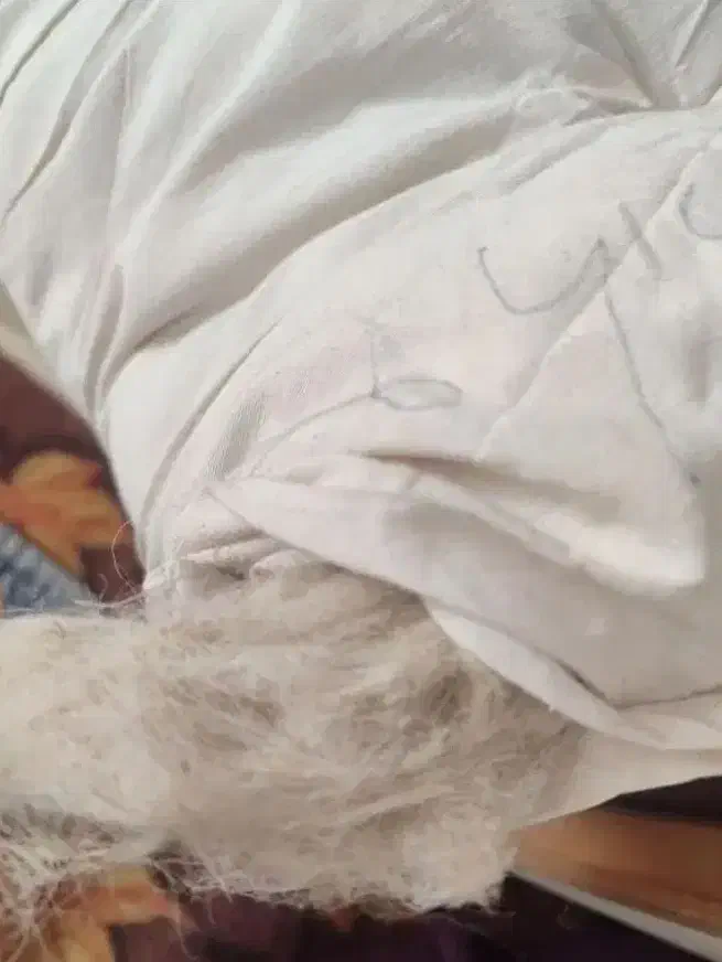 تشک پشم|رختخواب، بالش، پتو|تهران, المهدی|دیوار