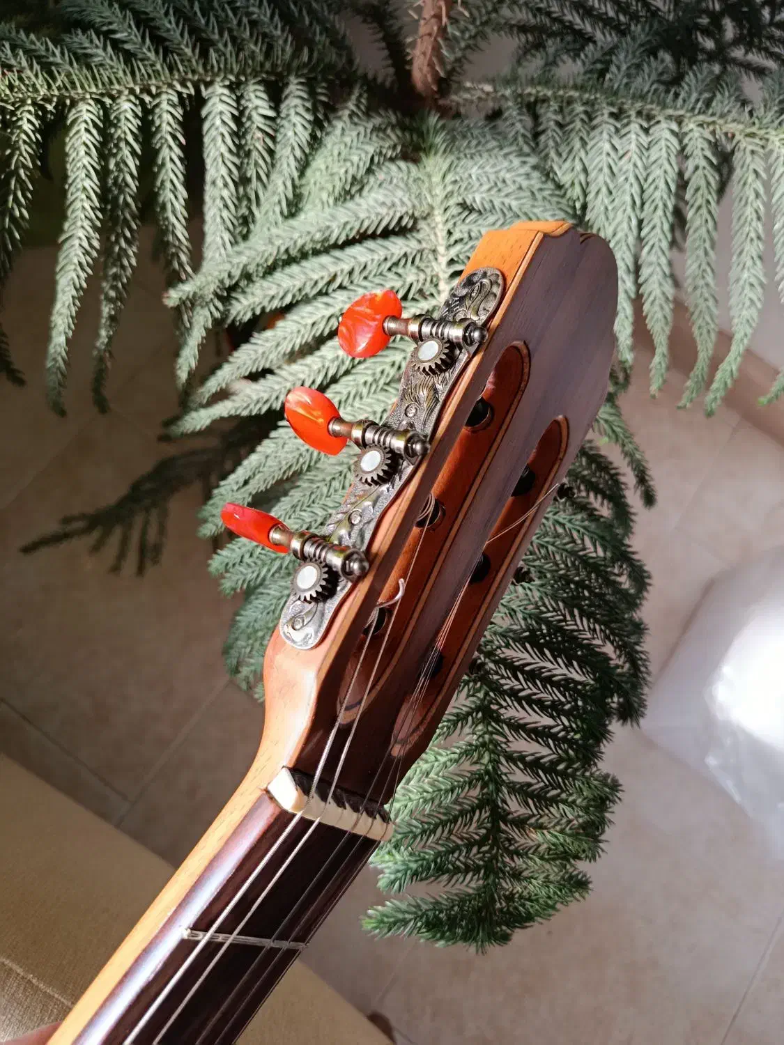 گیتار کلاسیک تمام‌چوب دست‌ساز  نو نو|گیتار، بیس، امپلیفایر|تهران, دبستان|دیوار