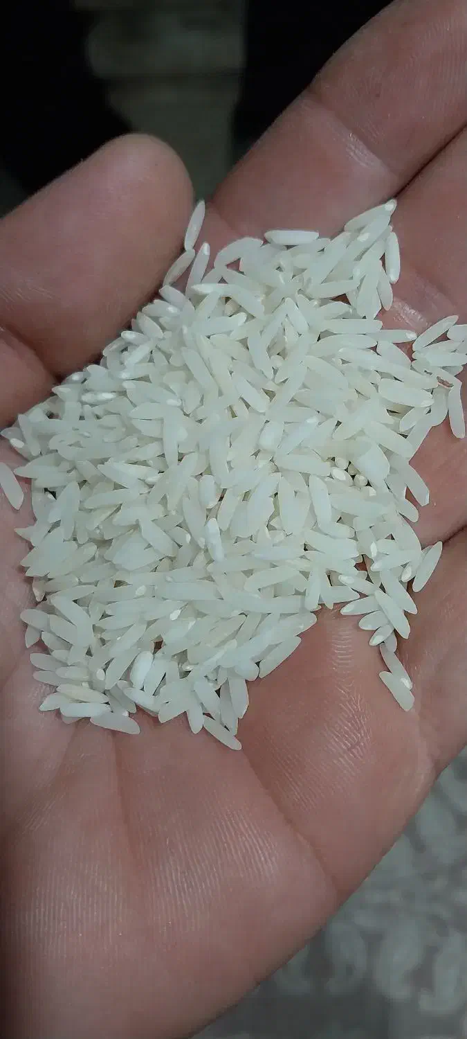 برنج هاشمی  سورتینگ شده|خوردنی و آشامیدنی|رشت, کوی غلام نیا|دیوار