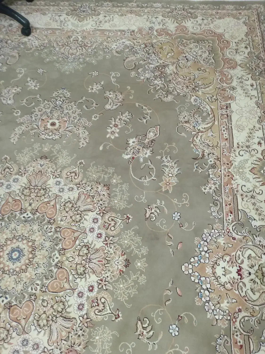 فرش 9متری|فرش|قم, باغ شریفی|دیوار