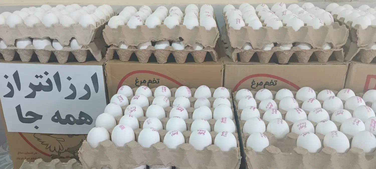 پخش تخم مرغ ،کلوچه،آبمیوه،قندبه قیمت عمده|فعالیت داوطلبانه تحقیقاتی|ارومیه, |دیوار