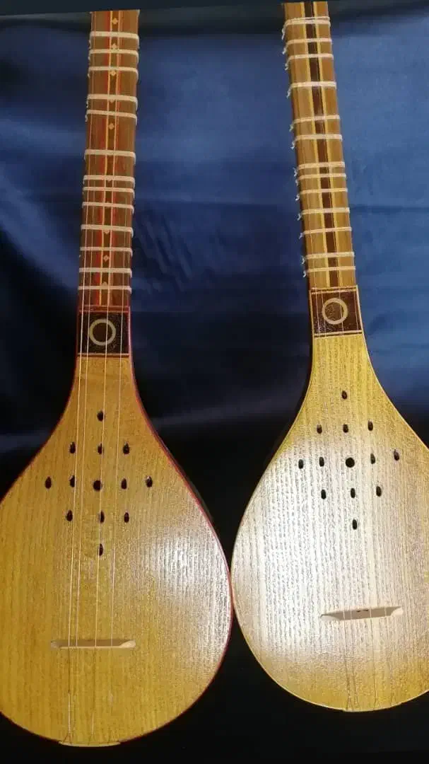 سه تار خوش صدا شاهرخی|سازهای سنتی|گلبهار, شهر جدید گلبهار|دیوار