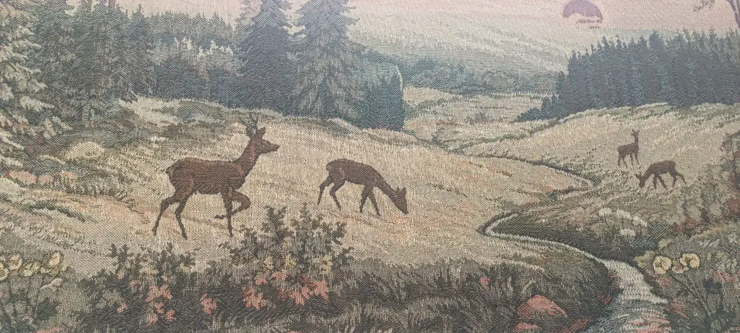 قاب عکس|تابلو، نقاشی، عکس|زاهدان, |دیوار