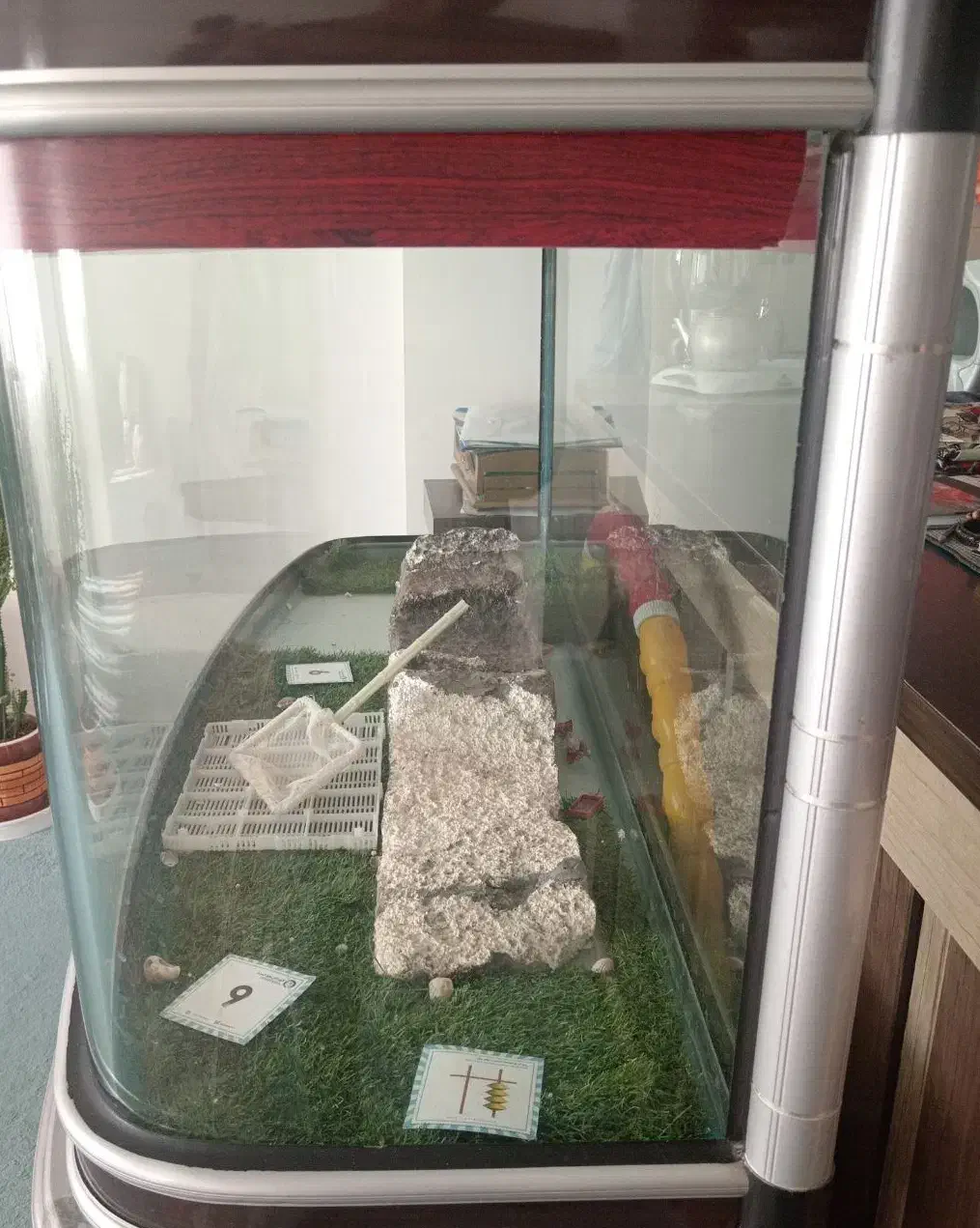 اکواریوم فروشی|ماهی|قوچان, |دیوار