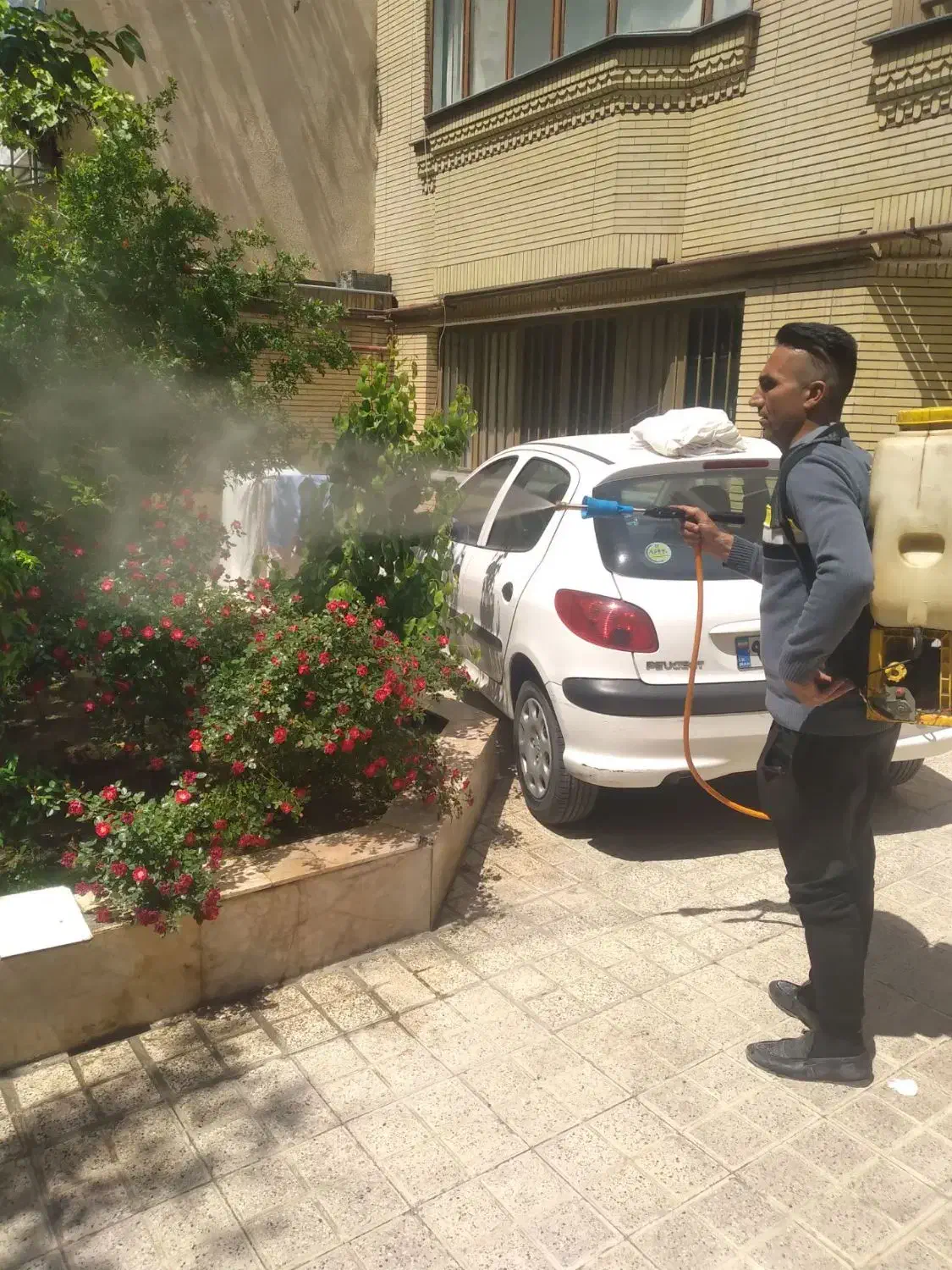 انجام کلیه کارهای باغبانی وسم پاشی و تیلرزدن|خدمات باغبانی و درختکاری|مشهد, توس (بلوار توس)|دیوار