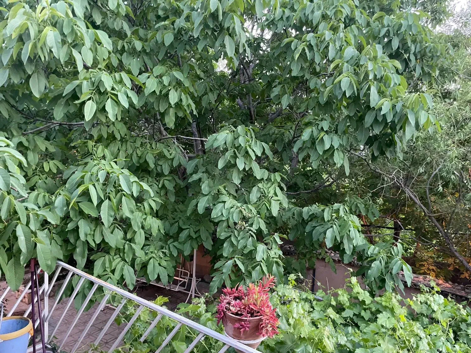 اقامتگاه بوم گردی سپیدان|اجارهٔ کوتاهمدت ویلا و باغ|سپیدان, |دیوار