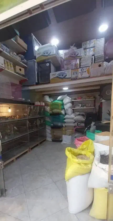 نمایندگی فروش دستگاه جوجه کشی|لوازم جانبی حیوانات|نوشهر, |دیوار