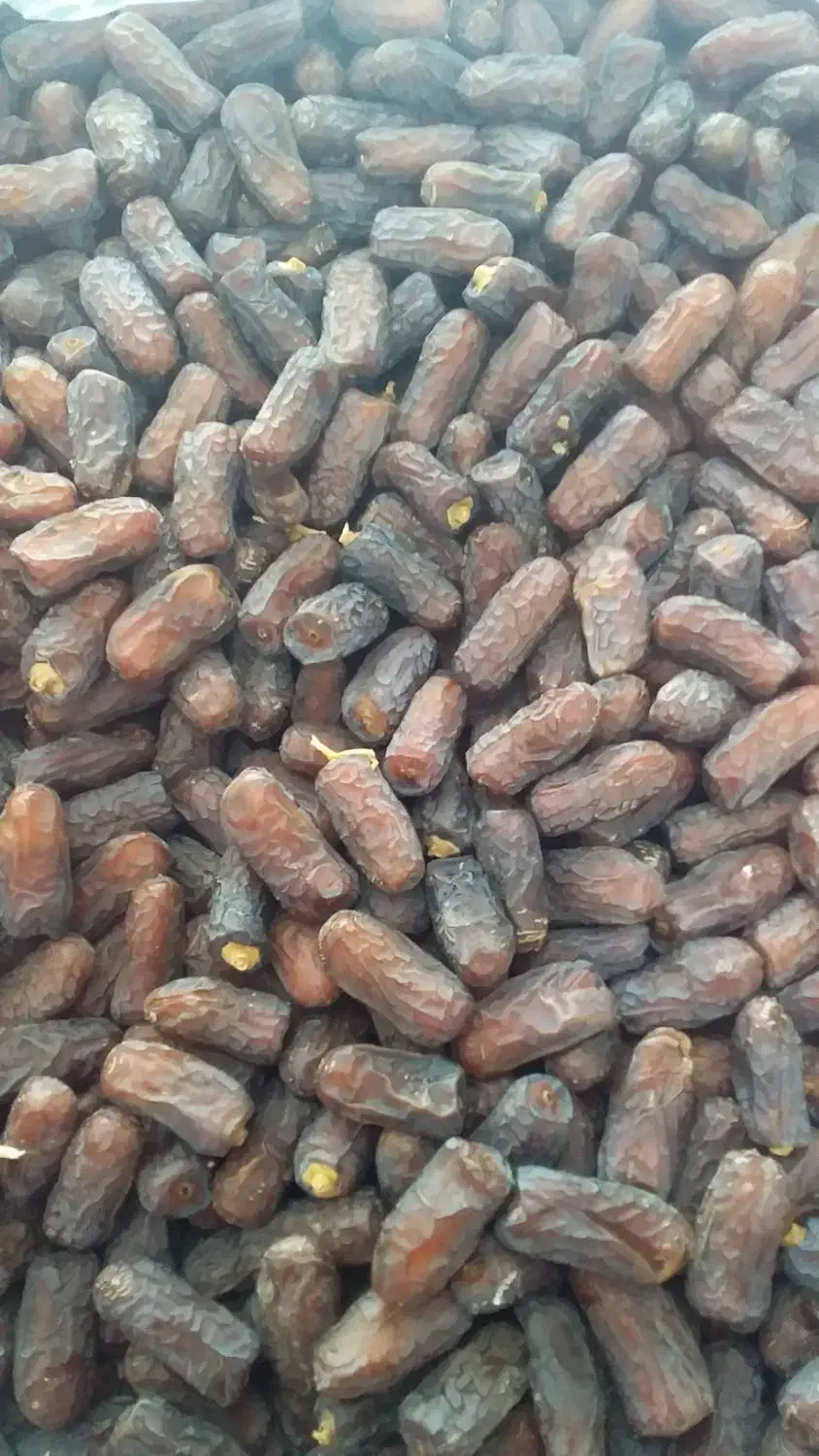 خرما پیارم درجه ۱|عمدهفروشی|سیرجان, |دیوار