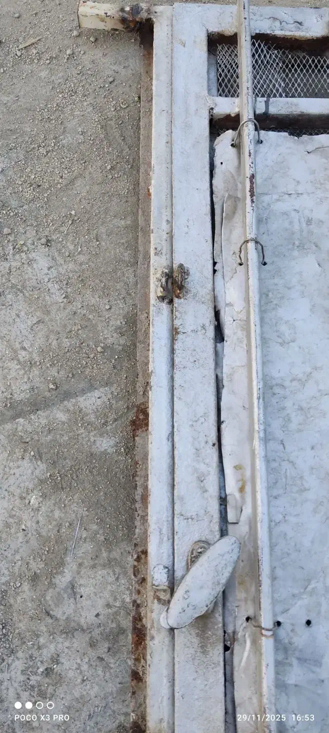 در کله کفتر|لوازم جانبی حیوانات|بروجرد, |دیوار