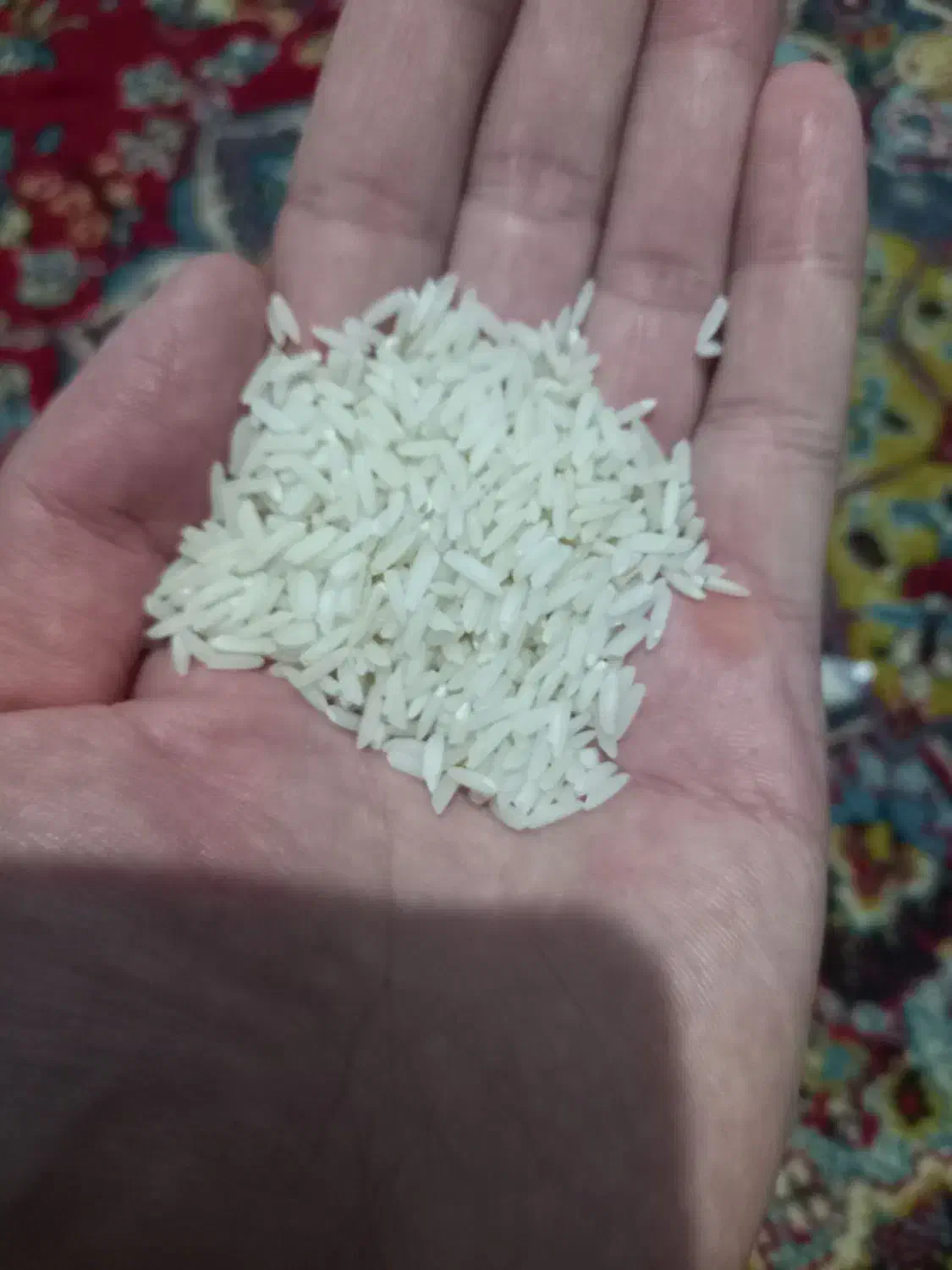 برنج هاشمی|خوردنی و آشامیدنی|رشت, چله خانه|دیوار