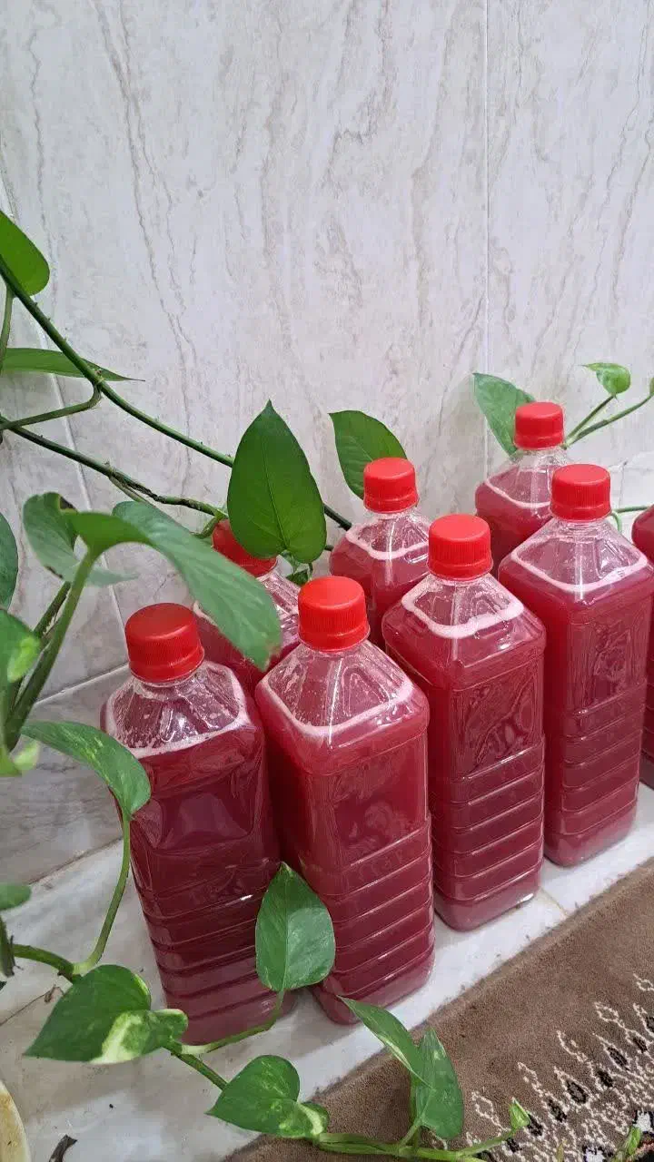 انار|خوردنی و آشامیدنی|میبد, |دیوار