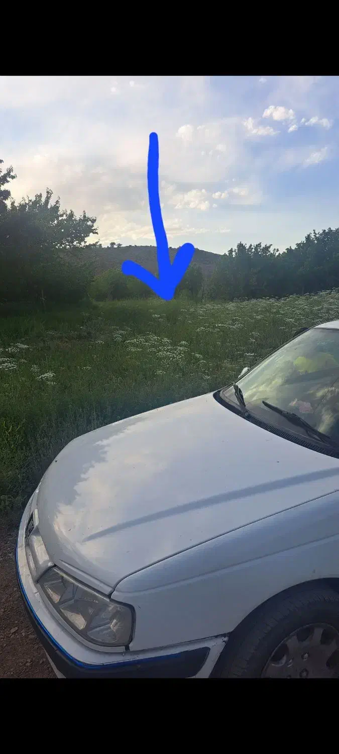 فروش یک قطعه باغ متراز۲۵۰۰متر مربع|فروش زمین و ملک کلنگی|درب بهشت, |دیوار