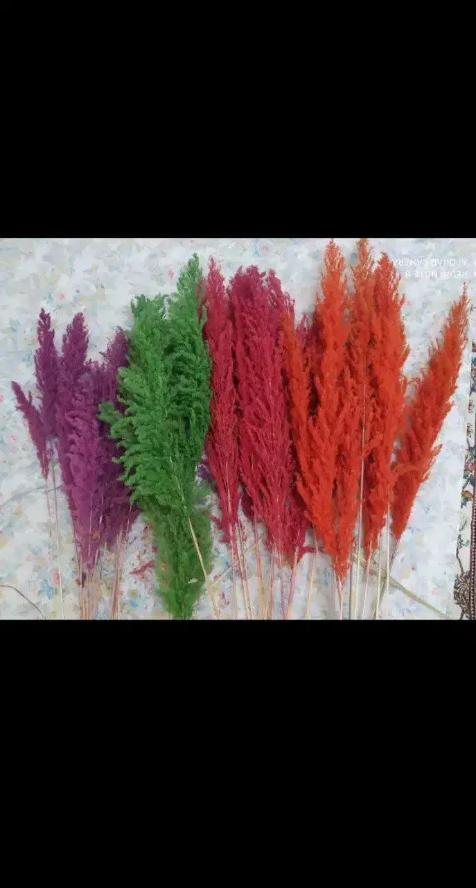 پامپاس 4رنگ|گل مصنوعی|تهران, مینابی|دیوار