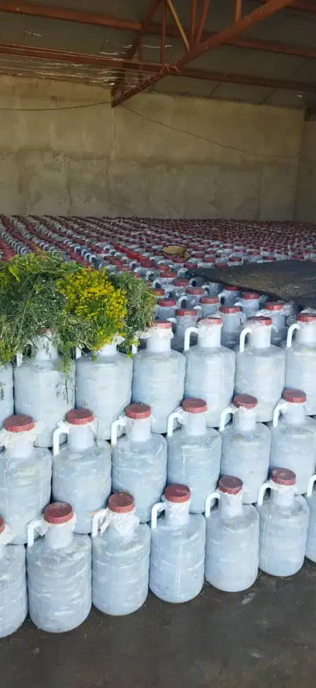 خیارشور ویژه تخمیری سنتی فیتدار (ریز و ترد)|خوردنی و آشامیدنی|باسمنج, |دیوار