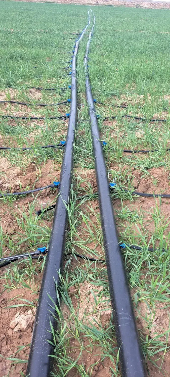 قطره ای باغ ولوله کشی زمین کشاورزی|خدمات باغبانی و درختکاری|اندیمشک, |دیوار