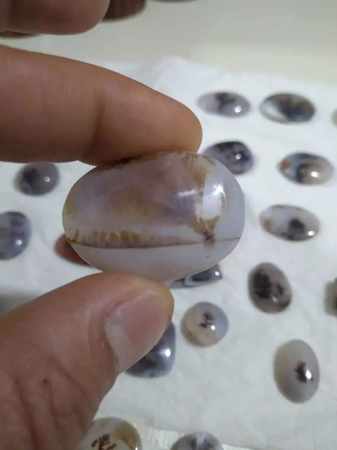 سنگ شجر قاین بی نظیر تک درخت سوزنی|جواهرات|مشهد, ثامن|دیوار