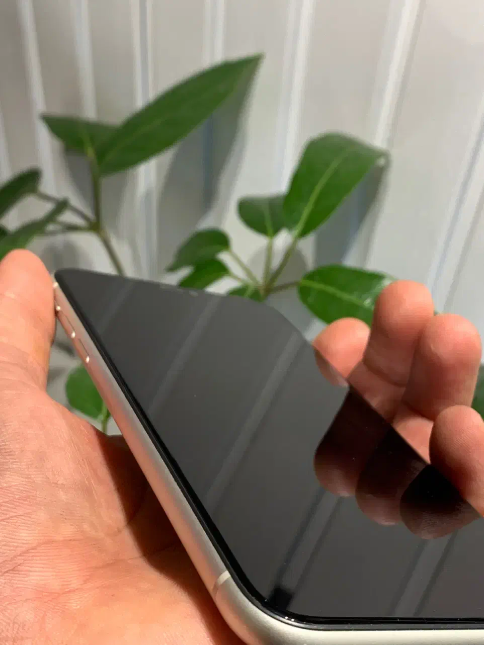 iphone 11|موبایل|مشهد, وکیل‌آباد|دیوار