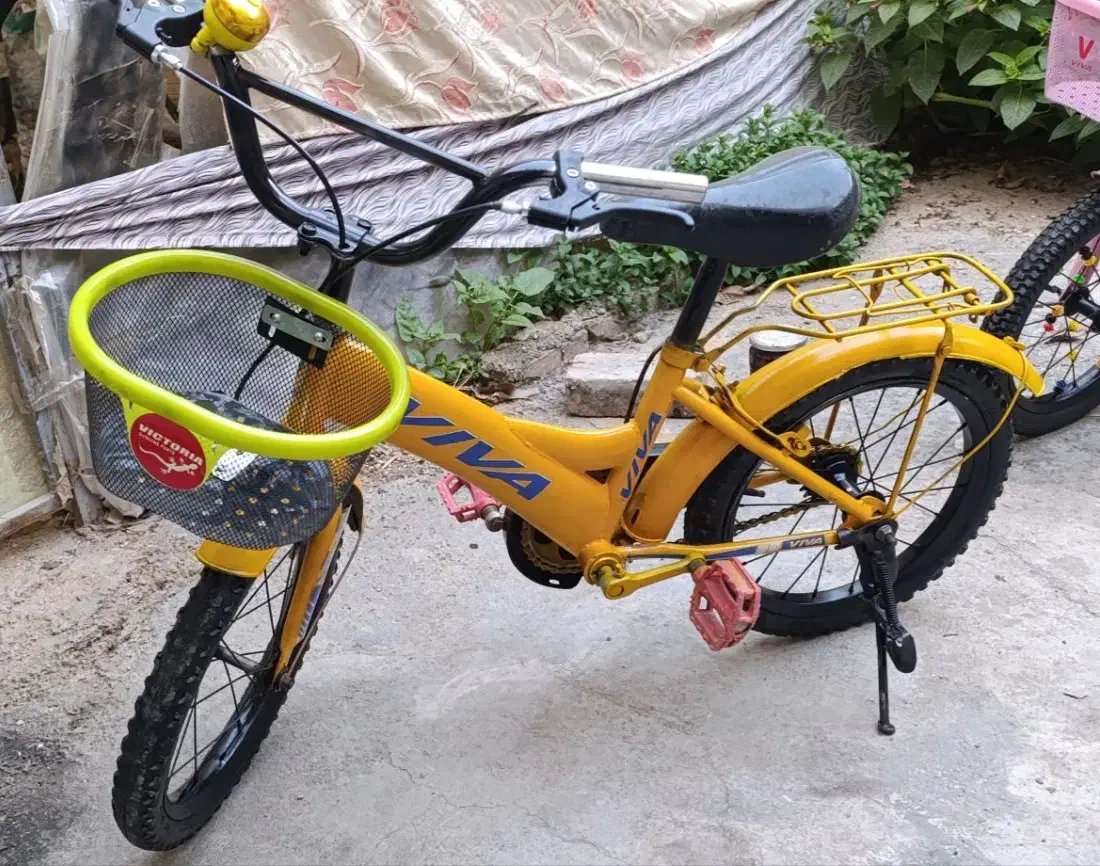 دوچرخه ۱۶|دوچرخه، اسکیت، اسکوتر|صائین قلعه, |دیوار