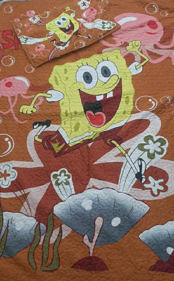 روتختی باب اسفنجی|سرویس روتختی|اسفراین, |دیوار