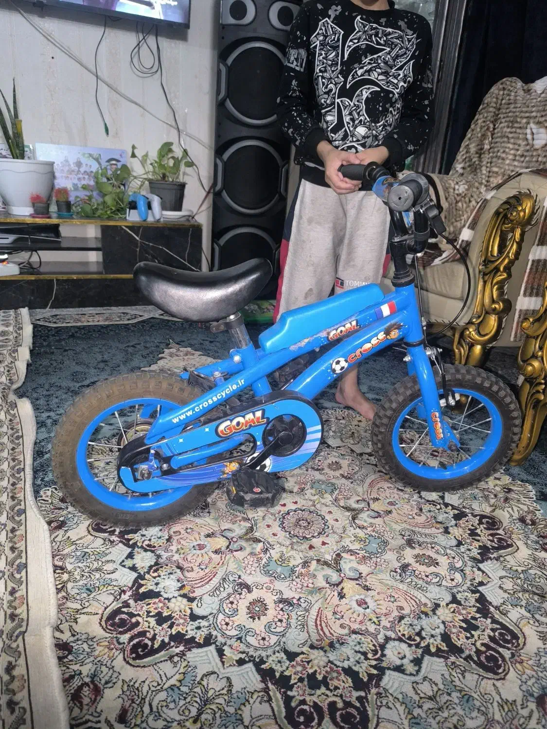 دوچرخه|دوچرخه، اسکیت، اسکوتر|بیرجند, |دیوار