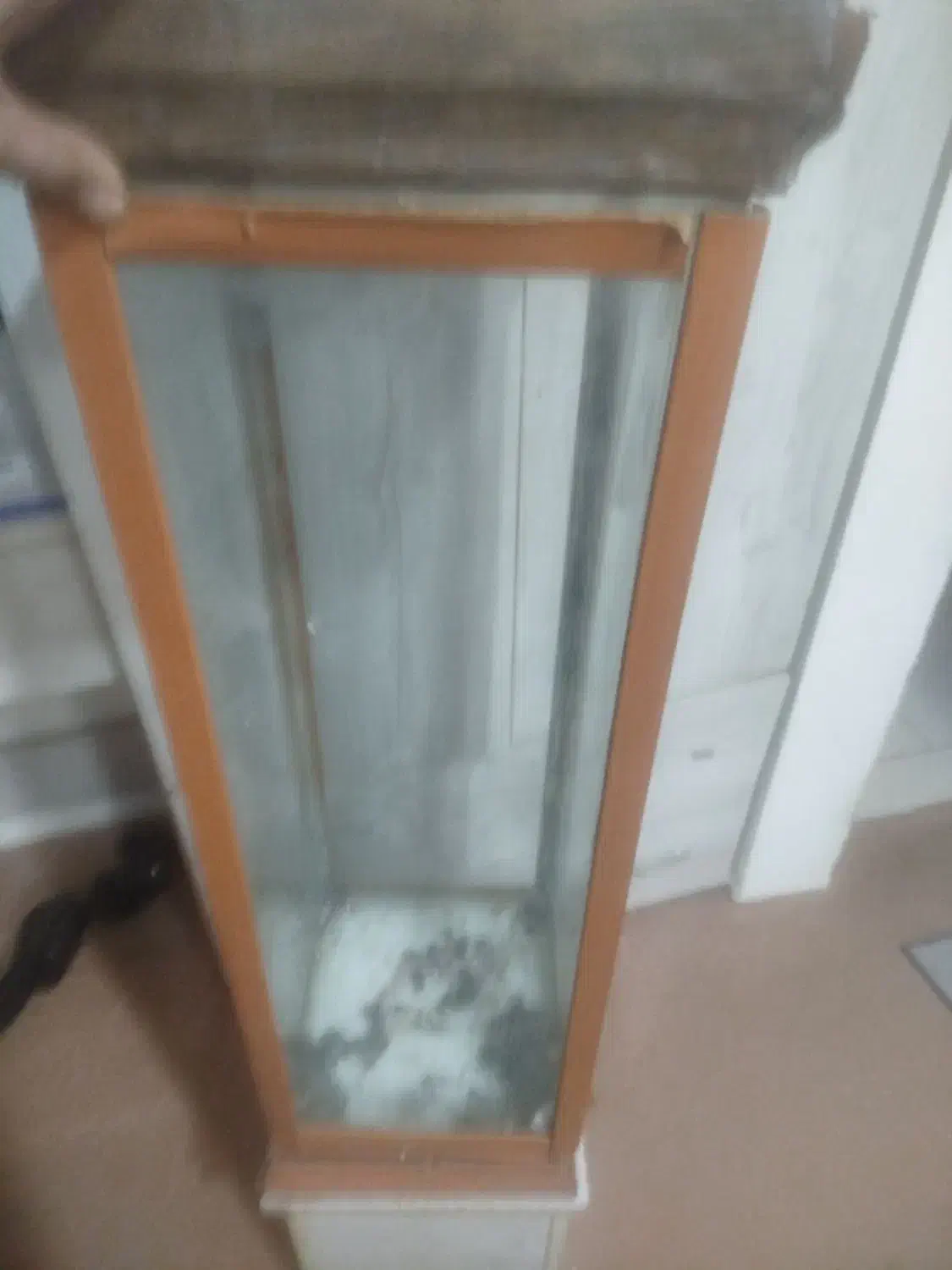 آکواریوم|ماهی|مشهد, هفت تیر (نه دره)|دیوار