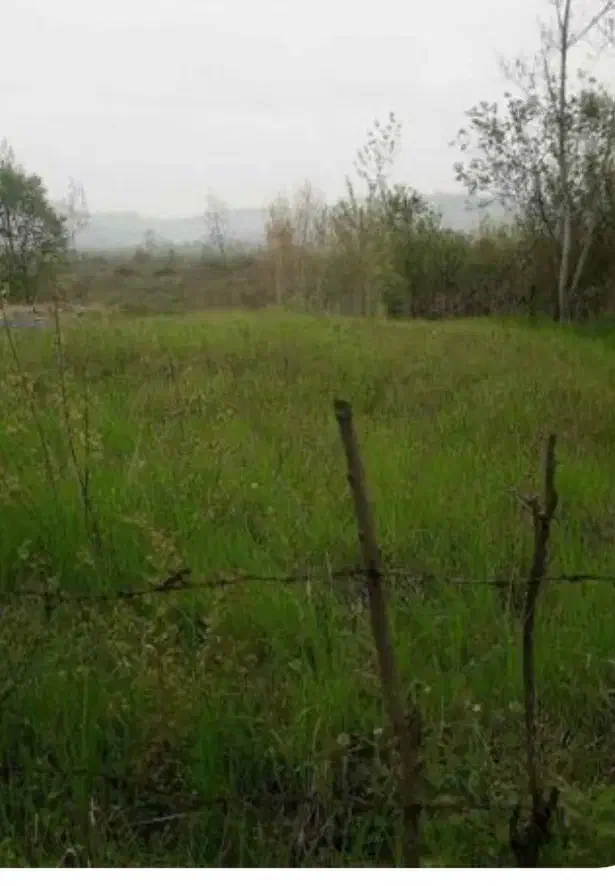 خانه ویلایی و زمین مسکونی و زراعی|فروش زمین و ملک کلنگی|رودبنه, |دیوار