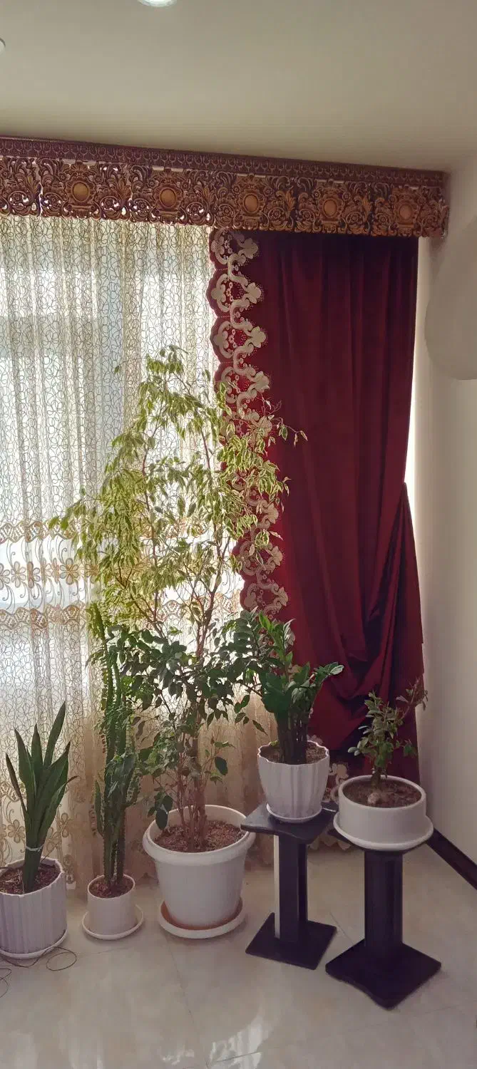 پرده پذیرایی|پرده، رانر، رومیزی|فردیس, شهرک راه آهن|دیوار