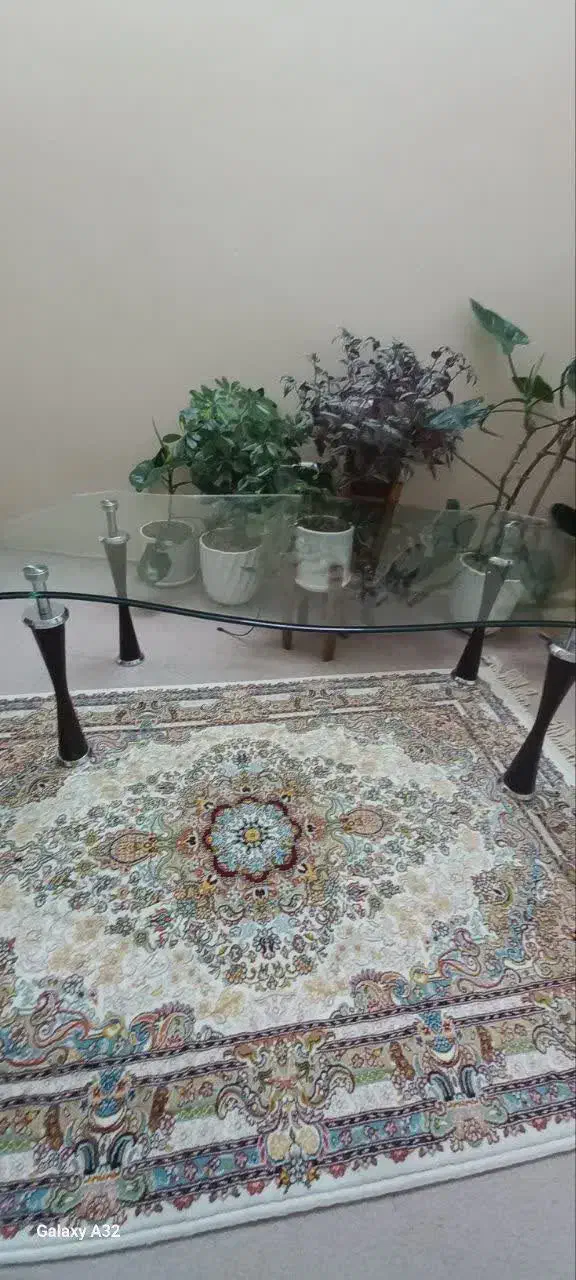 میز شیشه‌ای|مبلمان خانگی و میز عسلی|گلبهار, شهر جدید گلبهار|دیوار