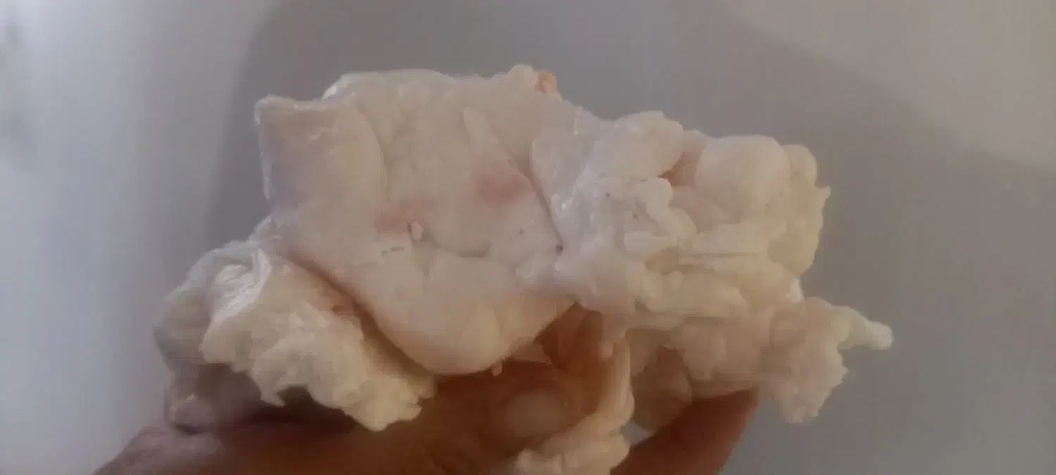 چربی‌(پی)بز‌|خوردنی و آشامیدنی|کرمانشاه, |دیوار