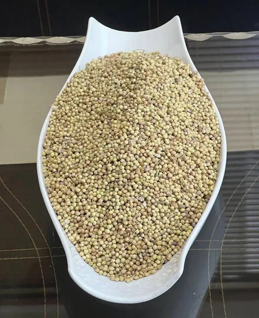 پخش عمده تخم گشنیز اعلا و رازیانه سبز اعلا وغیره|خوردنی و آشامیدنی|تهران, تهرانسر شمالی|دیوار