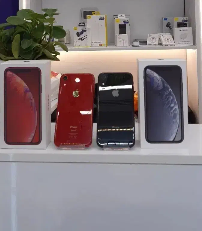 iphone xr 128 256GB|موبایل|تهران, صادقیه|دیوار